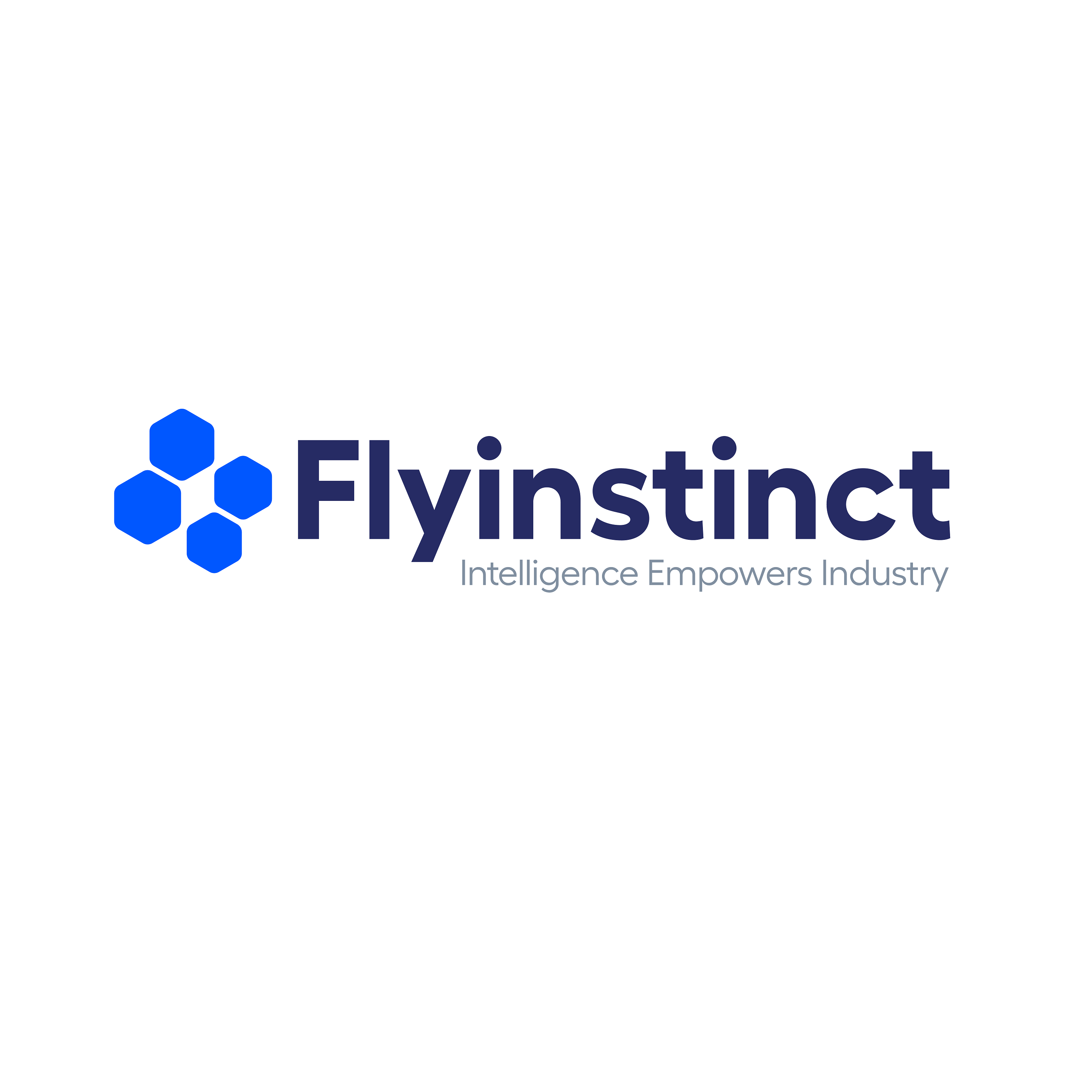 Flyinstinct